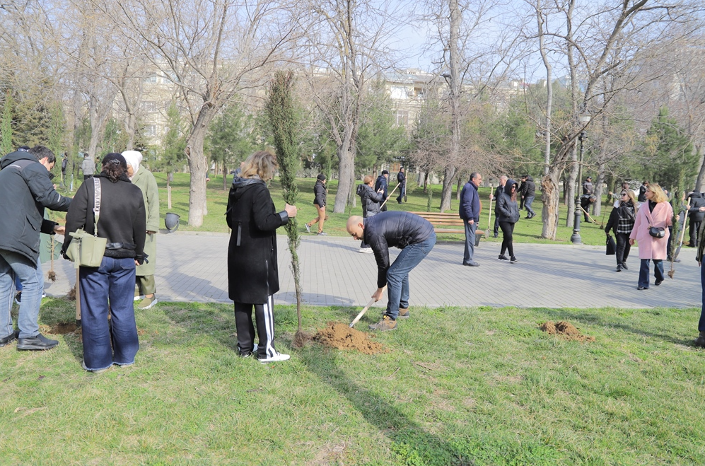 YAP Nəsimi rayonunun təşkilatçılığı ilə ağacəkmə aksiyası keçirilib - FOTOLAR